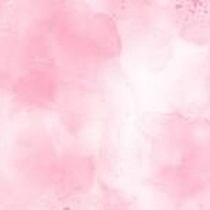 Meet your Posher, Cassie